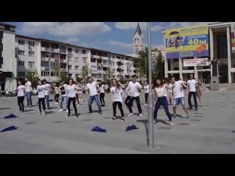 Flash mob Ziua Europei, GIB Bacau