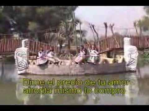 Chicas Rosas y Claveles - ($ En cheque o Dolar $)