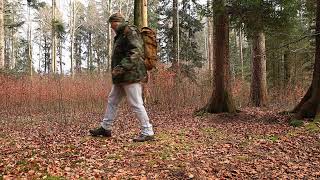 Waldlager 2025 02 09