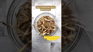 Download lagu HOW TO REHYDATE DRIED MUSHROOMS 🍄 mp3 Download lagu HOW TO REHYDATE DRIED MUSHROOMS 🍄 mp3