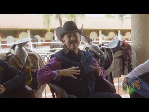 Caballos Agave y Tequila. Cuadra Santa Rosa