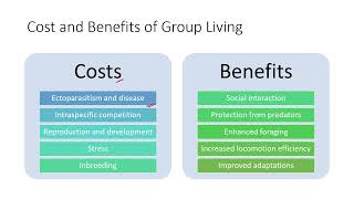 Group living and Social hierarchy (GATE EY - Ecology and Evolution)