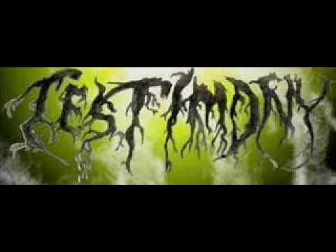Testimony - Dolina Cienia