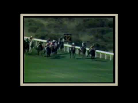 WOLF POWER 1984 QUEENS PLATE