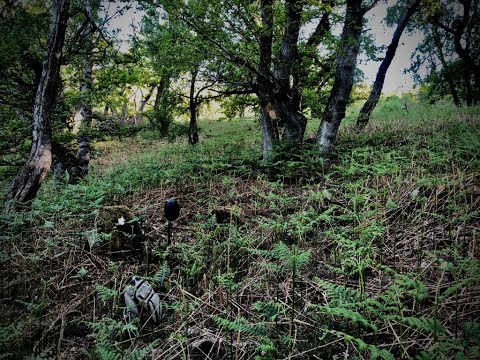 Isolation Room presents 'The Sylvan Space' created by Chris Watson