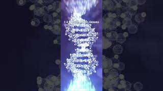 Was wäre passiert, wenn die Neandertaler bis heute überlebt hätten? | Niklas Kolorz #Shorts