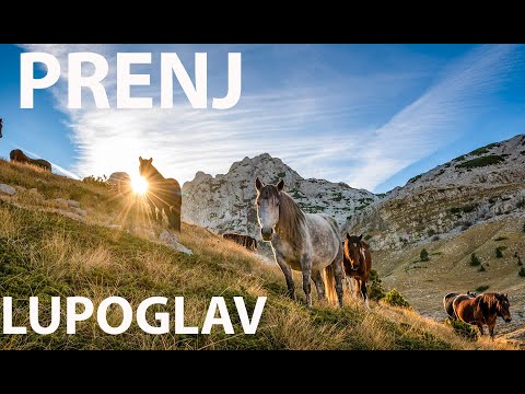 PRENJ - LUPOGLAV - Dženad Džino Adventures