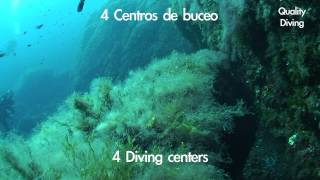 preview picture of video 'sea horse gorgonias ibiza diving tour HDV 1080i50'