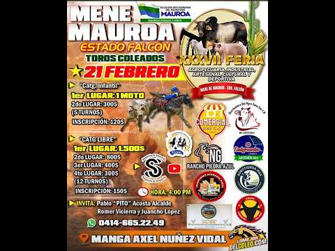 TOROS COLEADOS "XXXVI FERIA AGROPECUARIA INDUSTRIAL, ARTESANAL, TULTURAL Y DEPORTIVA"