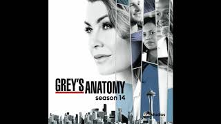 GREY&#39;S ANATOMY SE14 EP14 ADAM &amp;EVE by IZZY BIZU