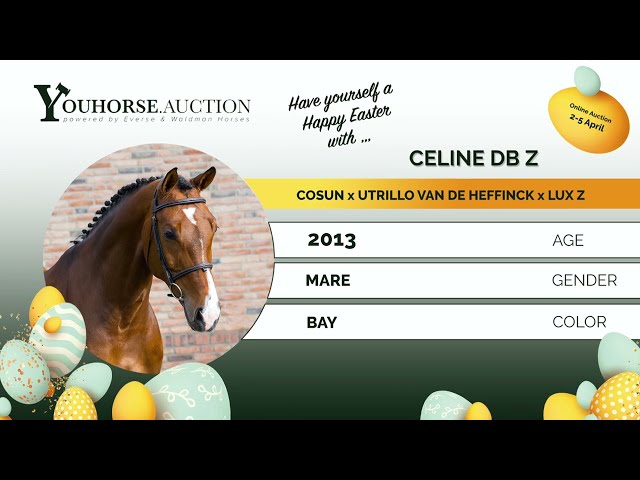 Celine DB Z