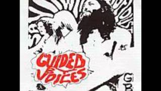 Optional Bases Opposed.wmv