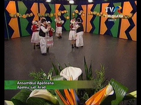 ANSAMBLUL APATEANA DIN APATEU  -  LA ,, CANTECUL DE ACASA  ''