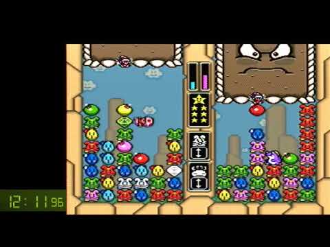 Wario's Woods in 34:34 (AGDQ 2019 submission video)