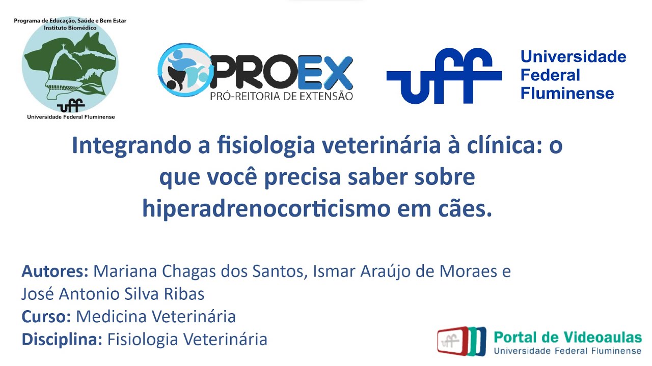 Integrando a fisiologia veterinária à clínica  o que você precisa saber sobre hiperadrenocorticismo