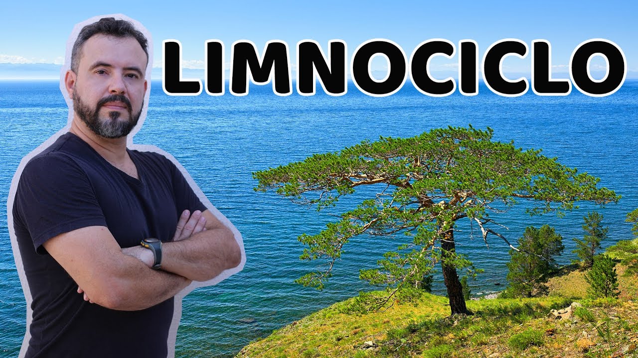 Ecossistemas Aquáticos - Limnociclo