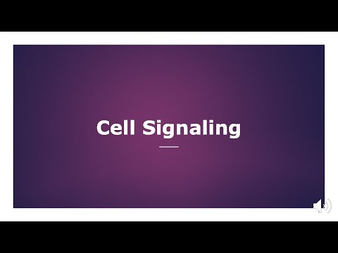 Basics of Cell Signaling