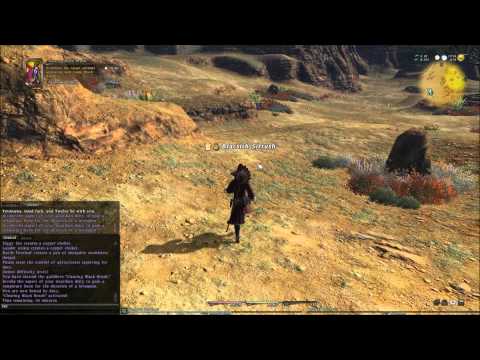 FFXIV Battlecraft Levequest: Clearing Black Brush