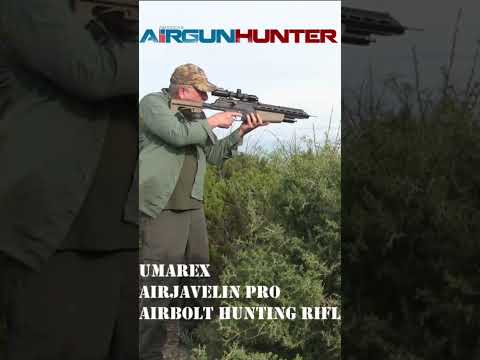 Sighting in BENJAMIN AIRBOW M600 Seas2treesoutdoors