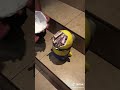 Ways To Die Dave Kill Minions Banana Song Remix Music Coin Minions
