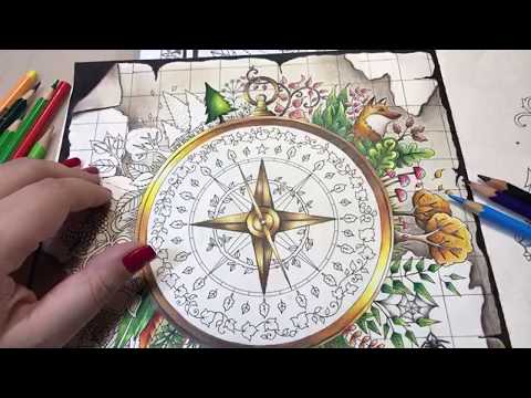 🔴 Live - Floresta Encantada - Bússola - Parte 6