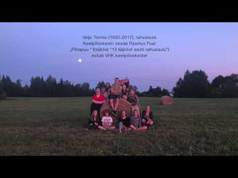 VHK keelpilliorkester - "Pihlapuu"