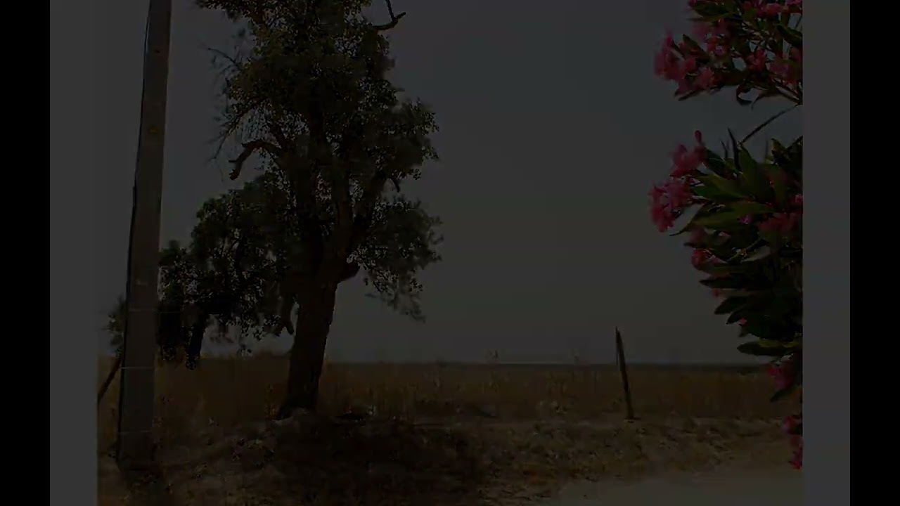 Vídeo do imóvel