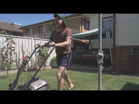 Buddy Dingo - Mortgage and a Mower
