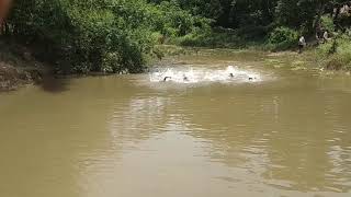 preview picture of video 'Me & my frnd swimming ..'