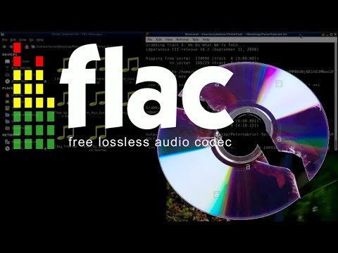 Tutorial: Rip CD to FLAC in Debian/Ubuntu Linux
