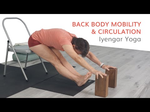 Beweglichkeit und Durchblutung des Rückens – Iyengar-Yoga
