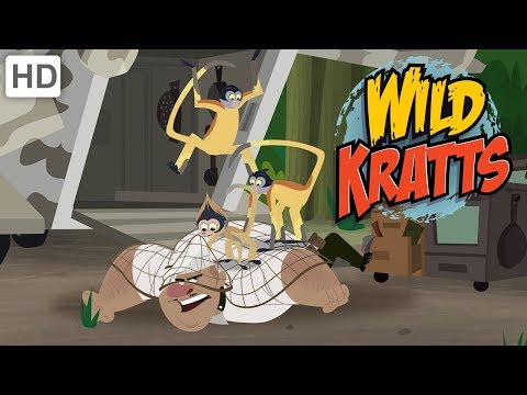 Wild Kratts - Swing Like a Spider Monkey and Bite Like a Real Spider