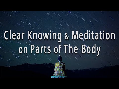 Clear Knowing and Meditation on Parts of the Body (#9 The Four Foundations of Mindfulness)
