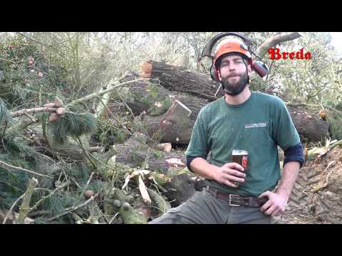 Breda TV - Episode 11