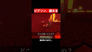 ピグリン、捕まる。 #マイクラ #マインクラフト