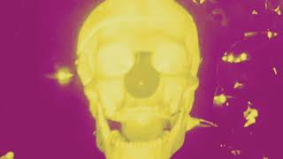 The Fall - Bonkers in Phoenix