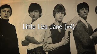 Liza Jane (1964) Davie Jones &amp; The King Bees + lyrics