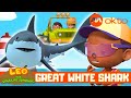 Great White Shark RESCUE Leo The Wildlife Ranger Spinoff S7E10 Mediacorpokto