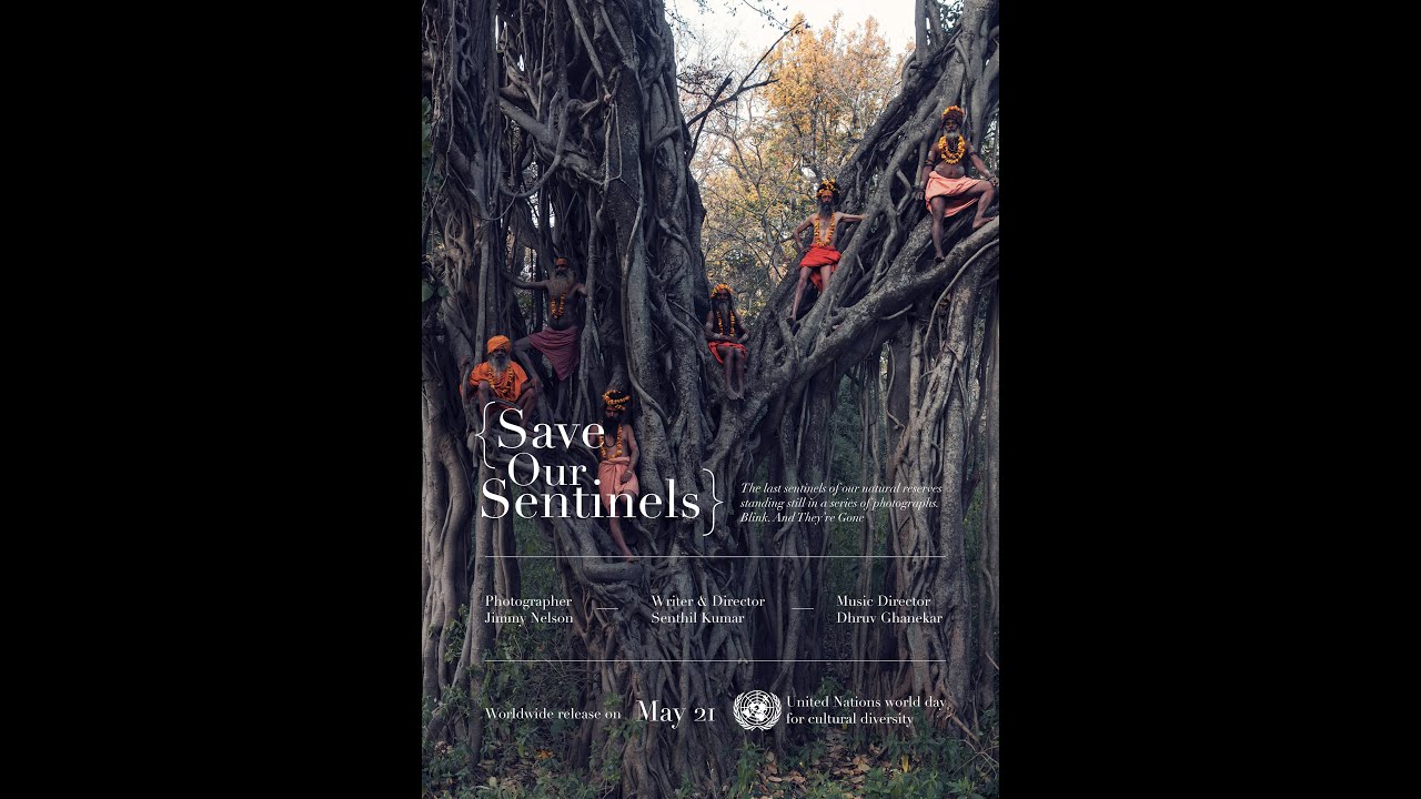 Jimmy Nelson : SAVE OUR SENTINELS - S.O.S.