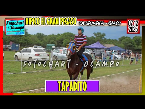 TAPADITO La Leonesa CH 07 12 2025