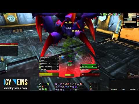 Brawler's Guild - Ixx (Rank 3)