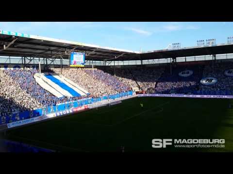1. FC Magdeburg -  1. FSV Mainz 05 II Geburtstagschoreographie