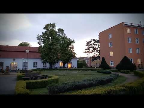 Slatinice, Czechia - beautiful bird song  🐦 🎵