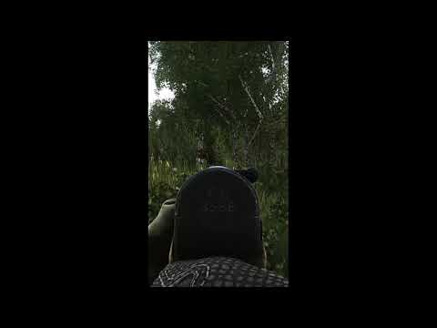 Scav (AI) New Behavior When Seeing Another Dead Scav #Shorts