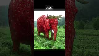 Download lagu 2025 vs 2023 brainrot mp3 Download lagu 2025 vs 2023 brainrot mp3