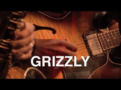 TOINE THYS TRIO: Grizzly (w/ Hervé Samb on guitar)