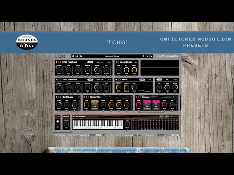 SoundsDivine 'Echo' - Unfiltered Audio Lion