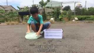 國小生 - 楊凱勛 Yang,Kai-Xun 參加漸凍人冰桶挑戰公益活動 HD))))
