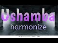 Harmonize - Ushamba (lyric video)