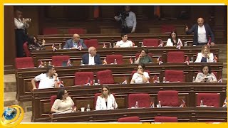 «Դուք կանացի պայուսակից զանգվածային ոչնչացման զենք էլ կգտնեք». սուր մեղադրանքներ՝ ԱԺ-ում